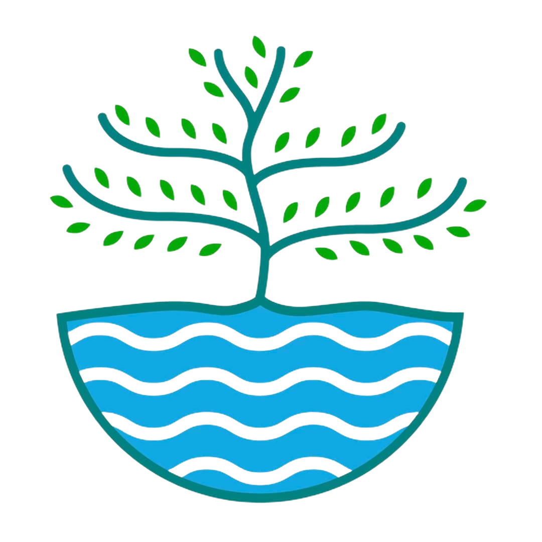 Rivers & Roots